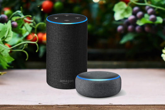 Amazon Echo (Alexa)