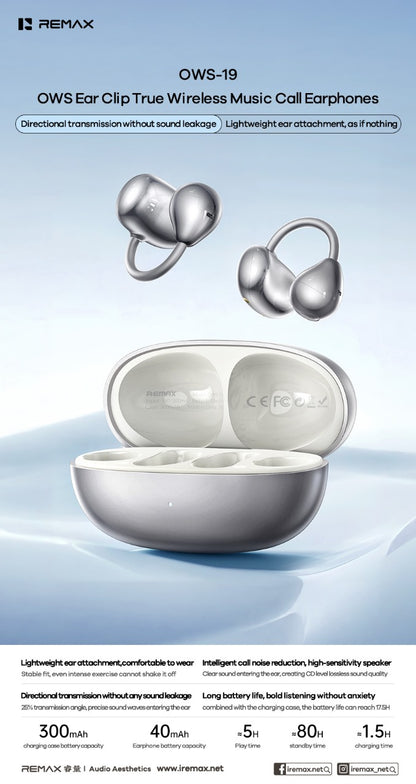 REMAX OWS-19